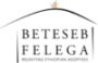 Ethiopian Family Search and Adoption Connection | Beteseb Felega